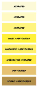 Chart to check your hydration